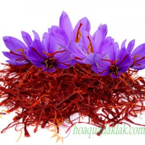 Nhụy hoa nghệ tây - saffron chữa mất ngủ có tốt không? Nhụy hoa nghệ tây - saffron chữa mất ngủ có tốt không?